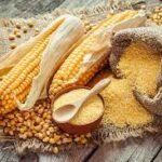 Corn Meal